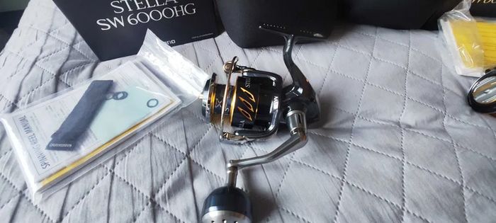 Shimano Stella SW 6000 HG