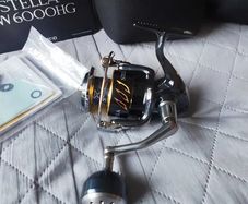 Shimano Stella SW 6000 HG