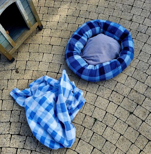 Dog Kennel