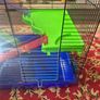 Large Hamster cage with accessories Image 4