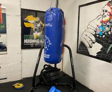Punch Bag, Stand and Gloves