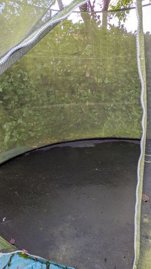 trampoline