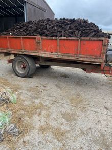 Fuel