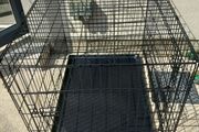 Extra Large dog travel crate