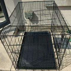 Extra Large dog travel crate
