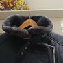 Women's Pilot Jacket Image 5