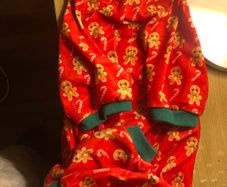 Doggie pj's