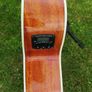 Tanglewood discovery Image 4