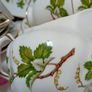 Royal Tara Bone China Image 8