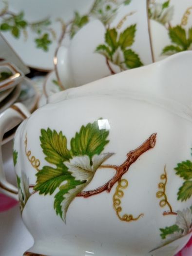 Royal Tara Bone China