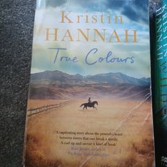 2 x Kristin Hannah novels. wild and true colours. No 1 bestsellers