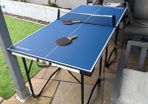 ping pong table