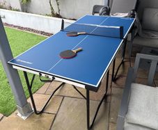 ping pong table