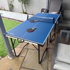 ping pong table