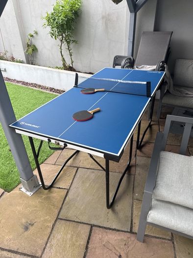 ping pong table
