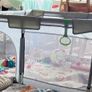 Large Playpen Image 2