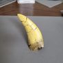 T. rex replica tooth Image 4