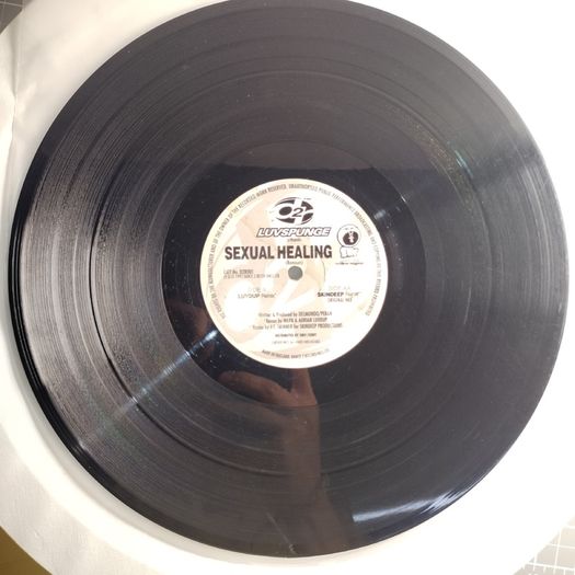 Luvspunge - Sexual Healing - Dance 2 Recordings - TOP Quality SIDES 90s HOUSE!