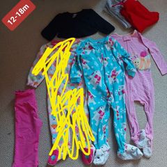 baby girl clothes bundle 12-18