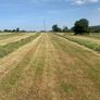 Silage bales Image 3