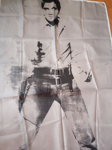 Andy Warhol Elvis giant banner