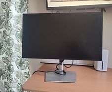 24inch Dell monitor p2425h