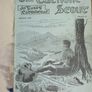 The Catholic Scout Vol. 7 March 1938 - February 1939  Catholic Boy Scouts of Ireland Image 3