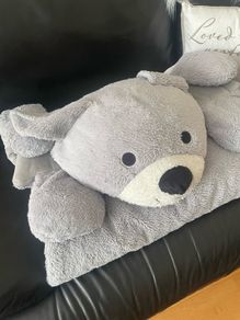 Snuggle Blanket