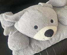 Snuggle Blanket