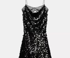 Zara dress