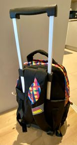 Child's drag along case