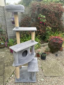 Cat scratcher