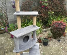 Cat scratcher