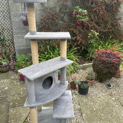 Cat scratcher
