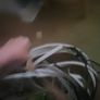 copper wire Image 4
