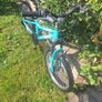 Girls Bike Image 3