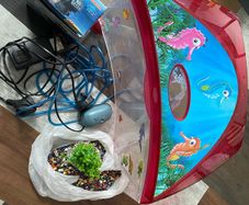 Plastic fish tank
