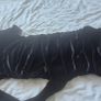 dress Image 2