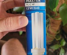 Philips Master Fluorescent Lamps, NEW, PL-C 13W, PL-S 7W, PL-T 42W