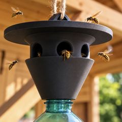 Wasp Trap - Plastic