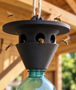Wasp Trap - Plastic