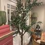 Very large beautiful faux olive tree Image 3