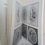 Irish Eighteenth-Century Stuccowork and its European Sources by Joseph McDonnell (PT51) Image 7