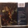 Hothouse Flowers Home CD Album Image 2