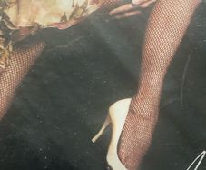 ladies  tights