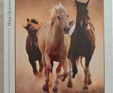 Jigsaw 1000 piece