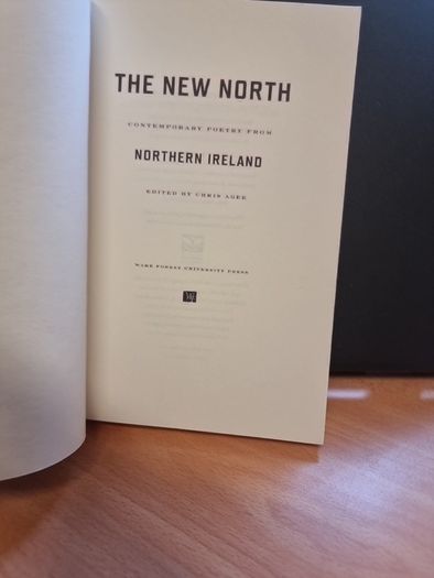The New North: Contemporary Poetry from Northern Ireland (Paperback)