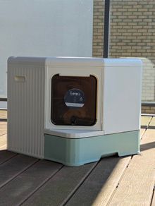 Kooa hop in cat litter box