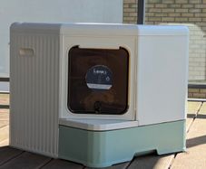 Kooa hop in cat litter box