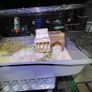 XXL  guinea pig & rabbit cage Image 6
